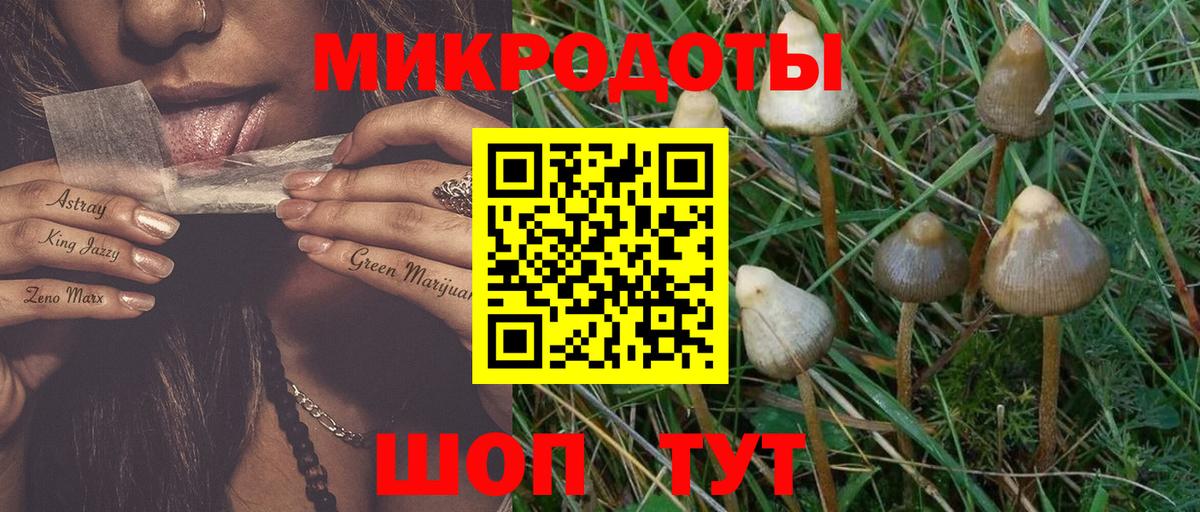 Галлюциногенные грибы прущие грибы Барнаул