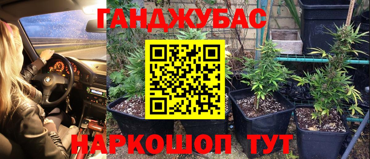 Бошки Шишки конопля Барнаул