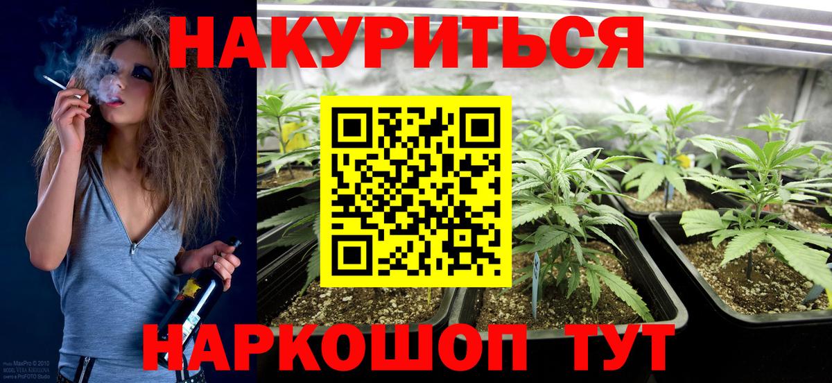 Конопля тримм  Вход с VPN  Барнаул  Конопля Bruce Banner  МАРИХУАНА Amnesia 